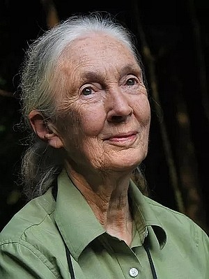 Jane Goodall
